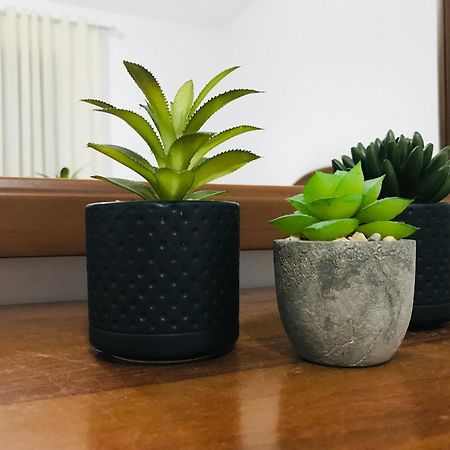Koli Apartament Berat Eksteriør billede