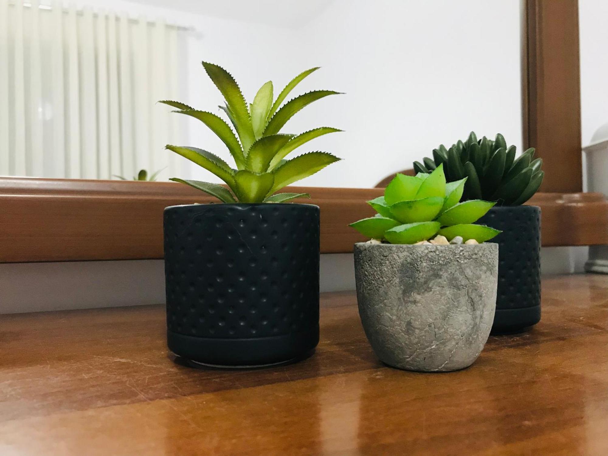 Koli Apartament Berat Eksteriør billede